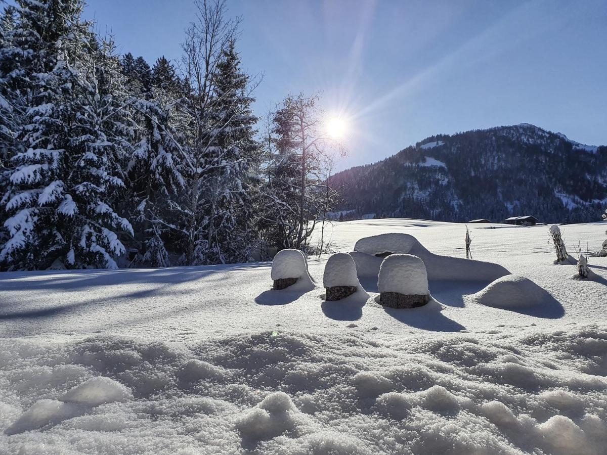 Zeitfrei Chalet Apartments Fieberbrunn Eksteriør billede